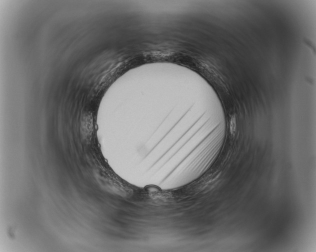 X0000099531299200806131118