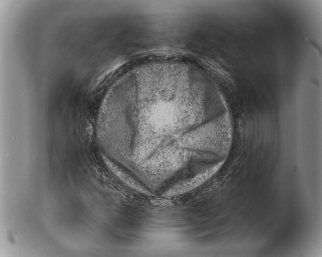 X0000099531302200806131118