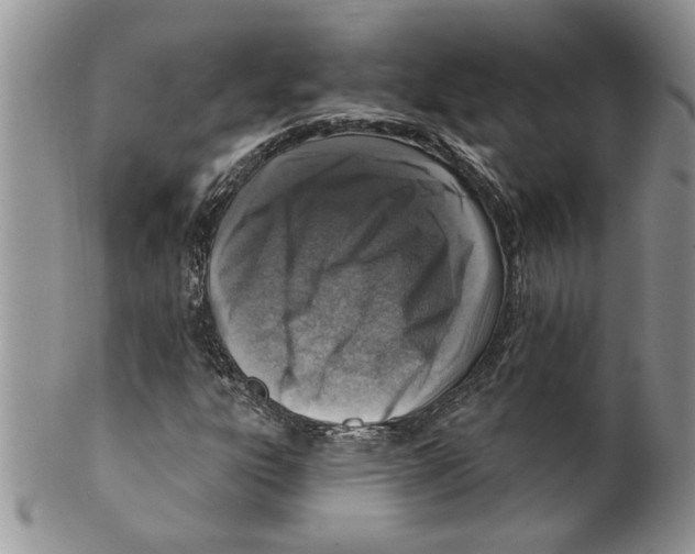 X0000099531303200806131118