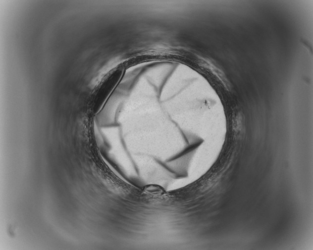 X0000099531304200806131118