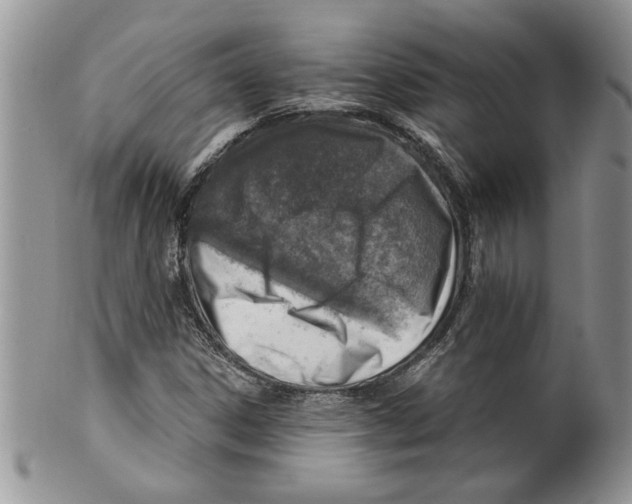 X0000099531306200806131118