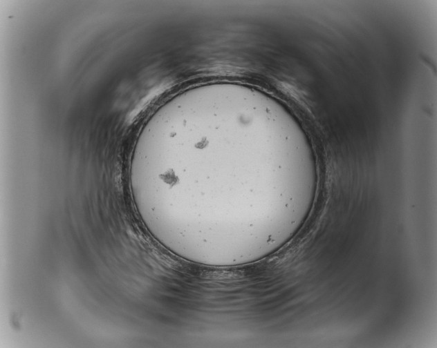 X0000099531307200806131118