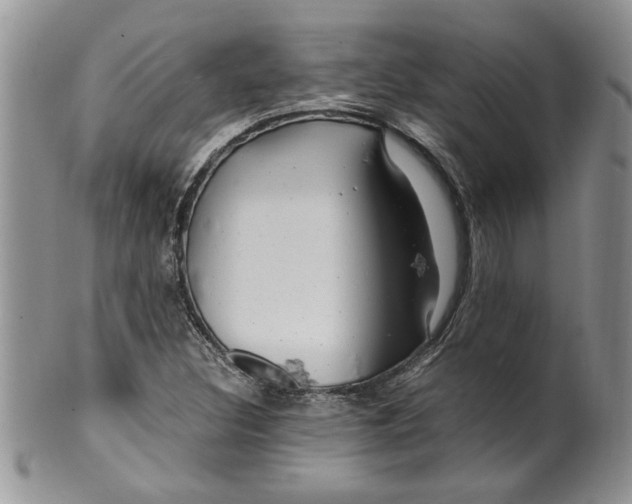 X0000099531308200806131119