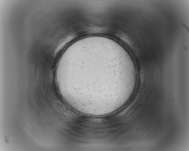 X0000099531309200806131119