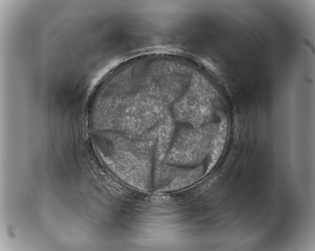 X0000099531310200806131119