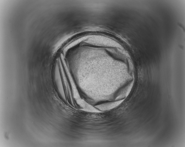 X0000099531311200806131119