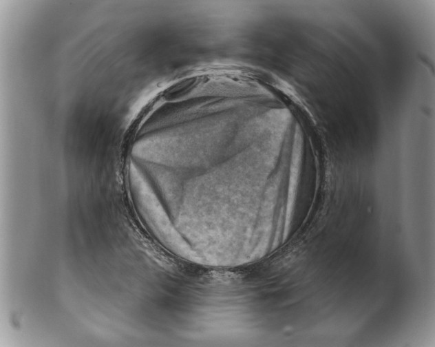 X0000099531312200806131119