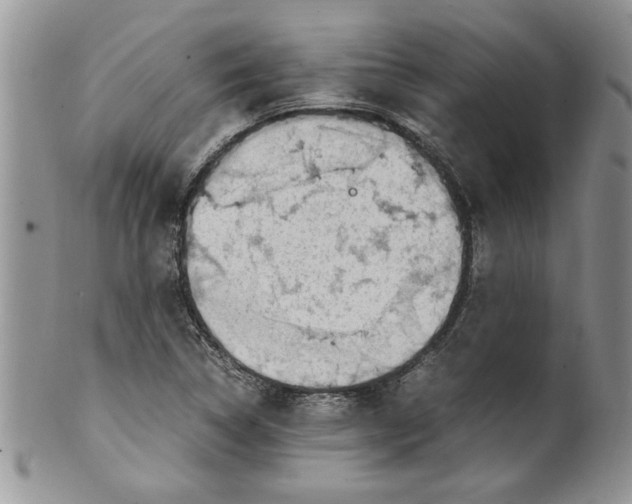 X0000099531314200806131119