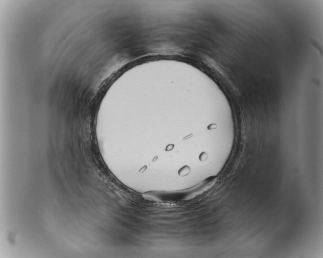 X0000099531315200806131119