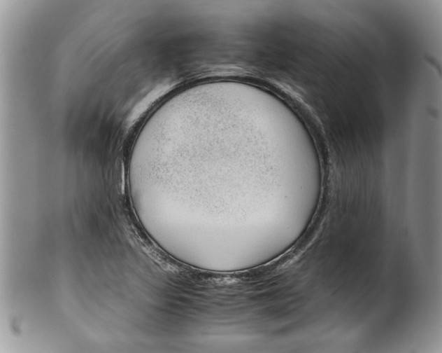 X0000099531317200806131119