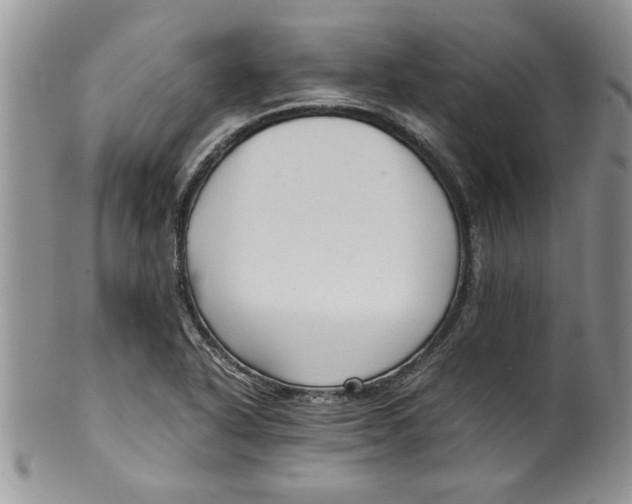 X0000099531318200806131119