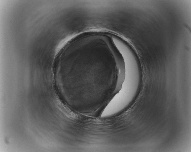 X0000099531319200806131119