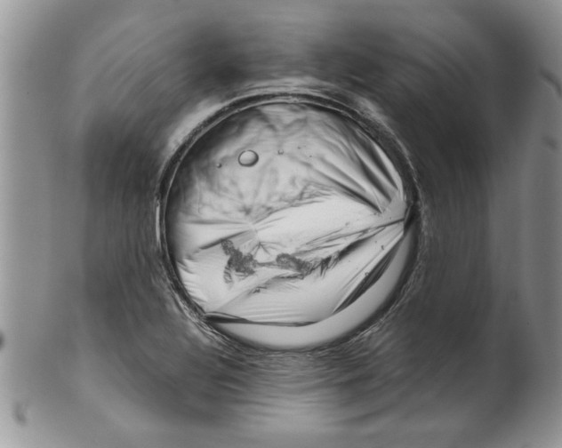 X0000099531320200806131119