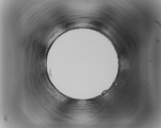 X0000099531322200806131119