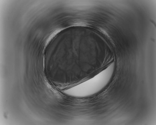 X0000099531323200806131119