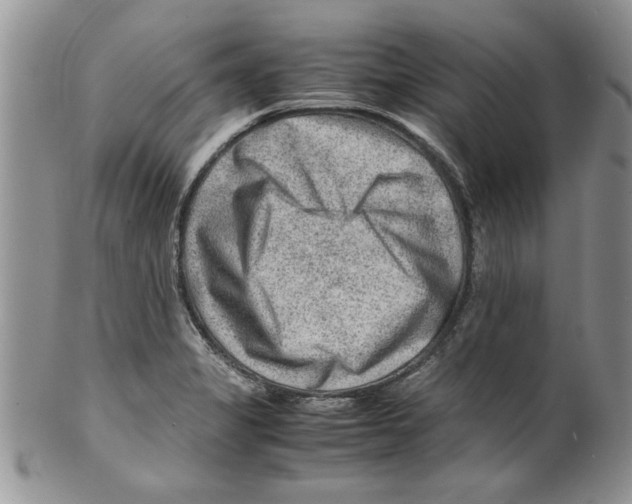 X0000099531325200806131119