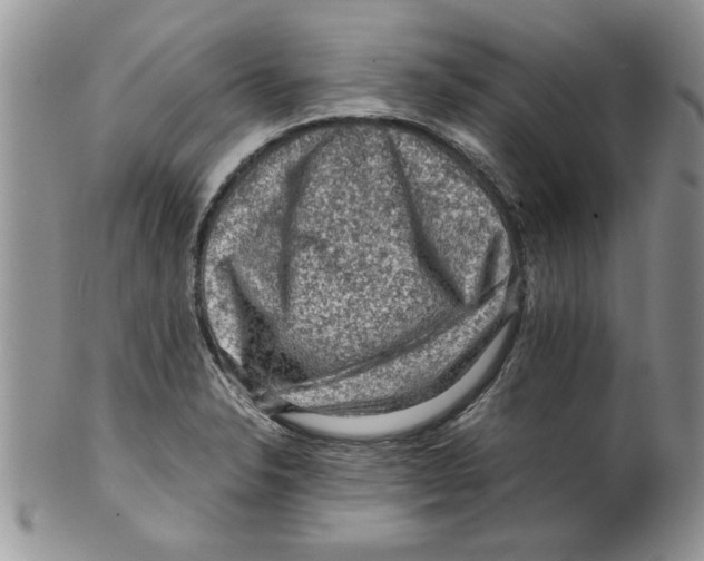 X0000099531326200806131119