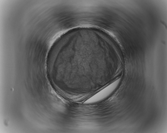 X0000099531327200806131119