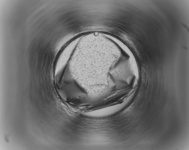 X0000099531328200806131119