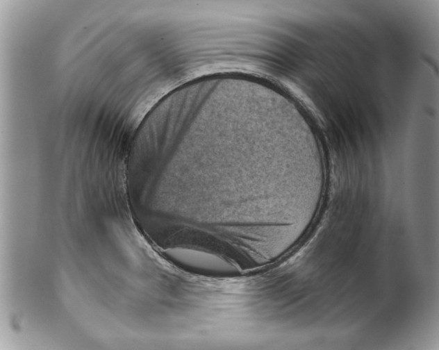 X0000099531329200806131119