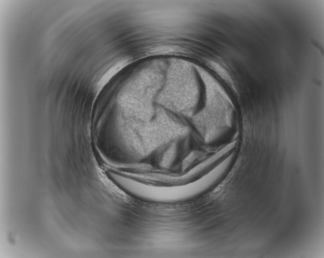 X0000099531330200806131119