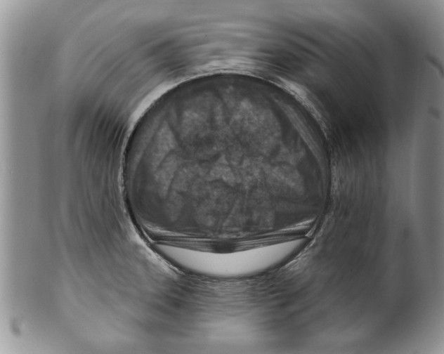 X0000099531331200806131119