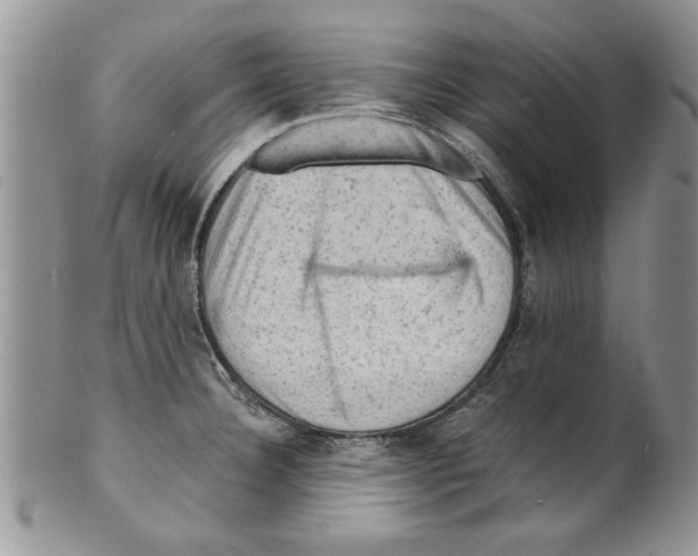 X0000099531332200806131119