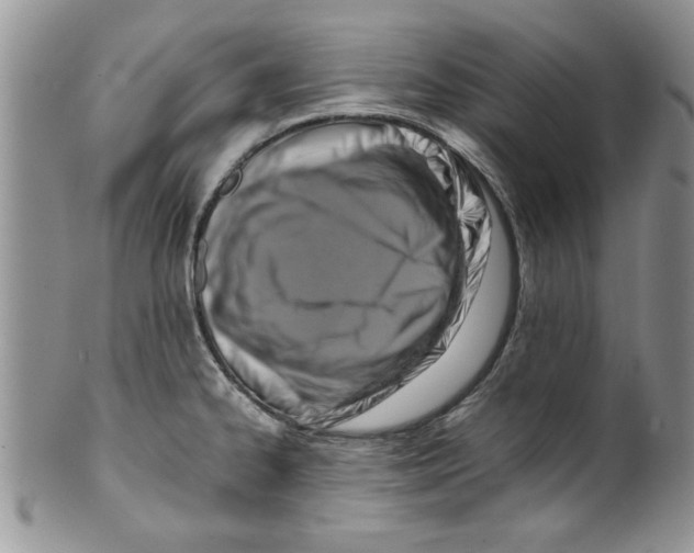 X0000099531334200806131119