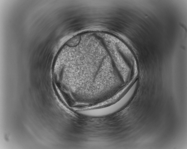 X0000099531335200806131119