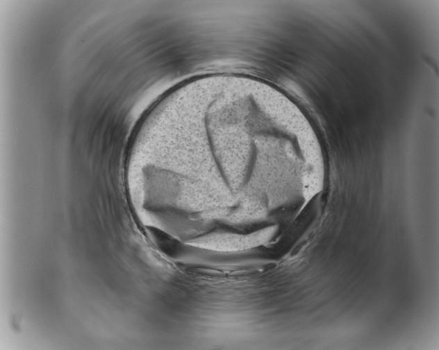 X0000099531336200806131119