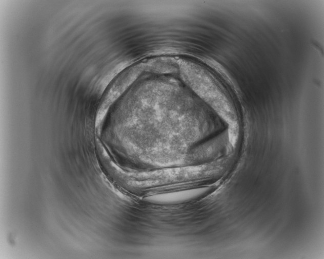 X0000099531337200806131119