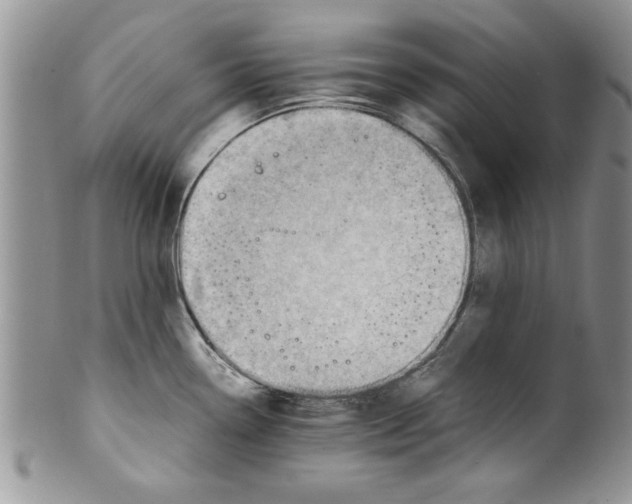 X0000099531338200806131119