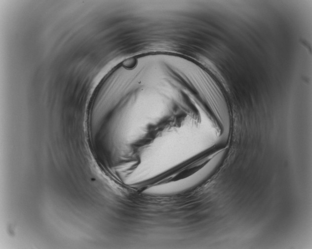 X0000099531339200806131119