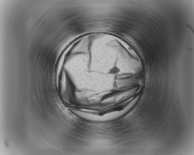 X0000099531340200806131119