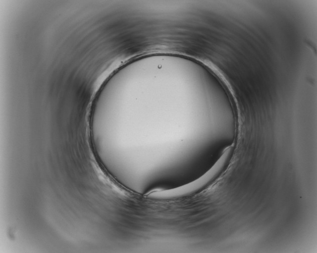 X0000099531341200806131119