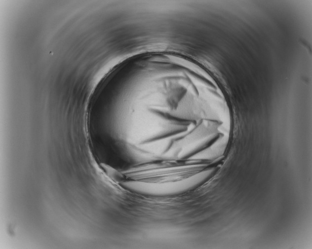 X0000099531342200806131119