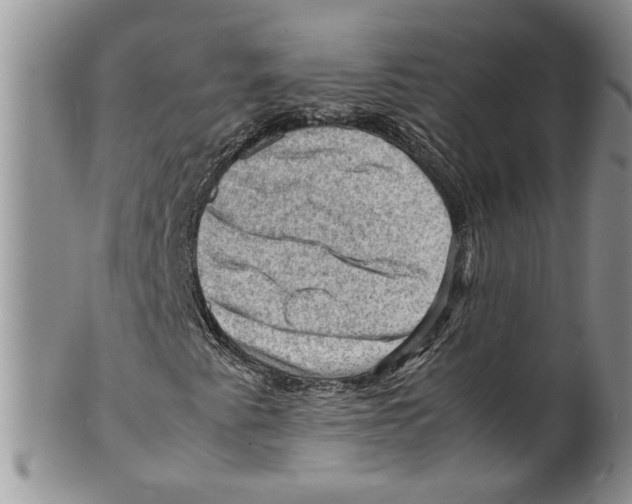 X0000099531345200806131118