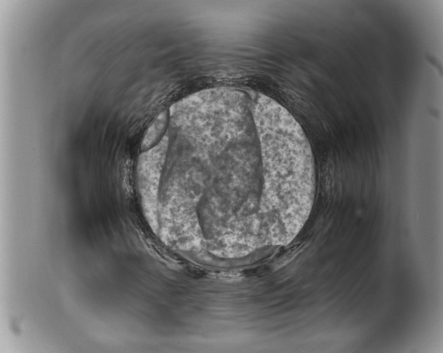 X0000099531346200806131118