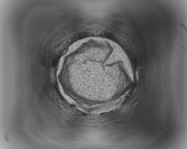 X0000099531347200806131118