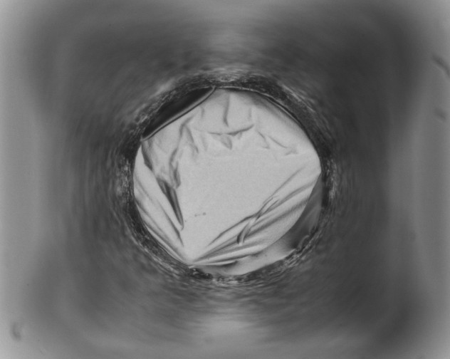 X0000099531349200806131118