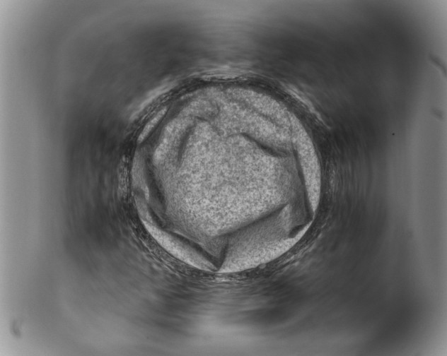 X0000099531350200806131118