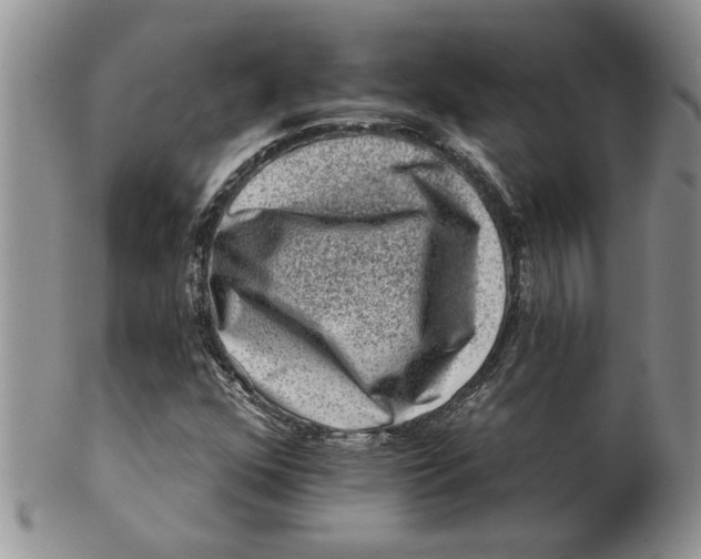 X0000099531352200806131118