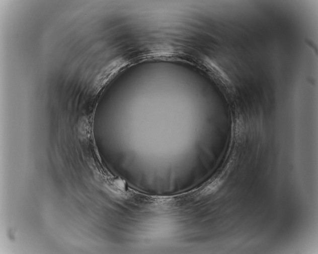 X0000099531353200806131118