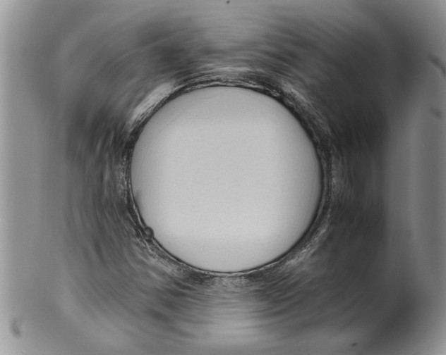 X0000099531354200806131118