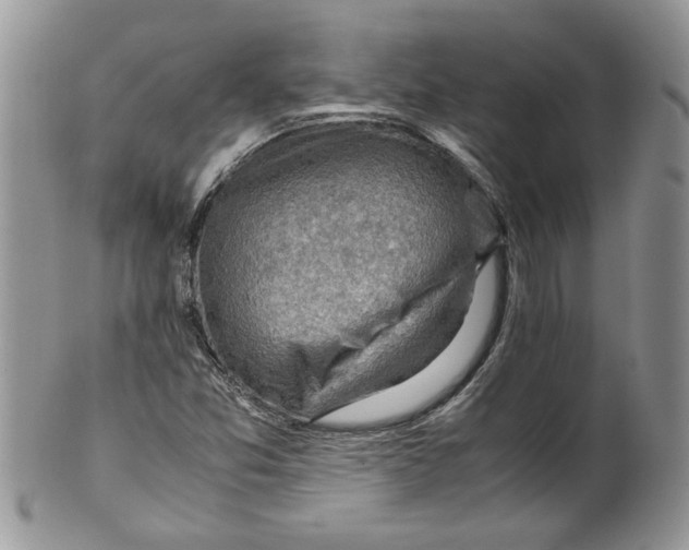 X0000099531357200806131118