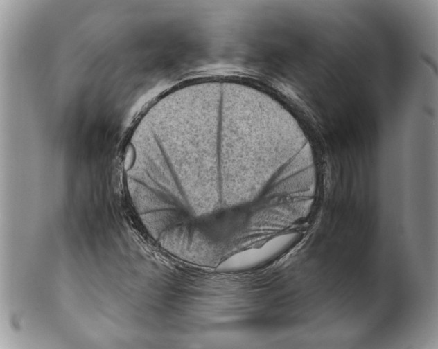 X0000099531358200806131118