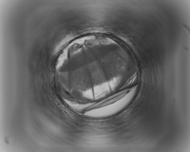 X0000099531359200806131118