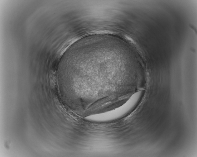 X0000099531361200806131118