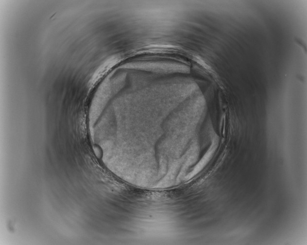 X0000099531362200806131118