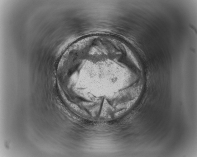 X0000099531363200806131118